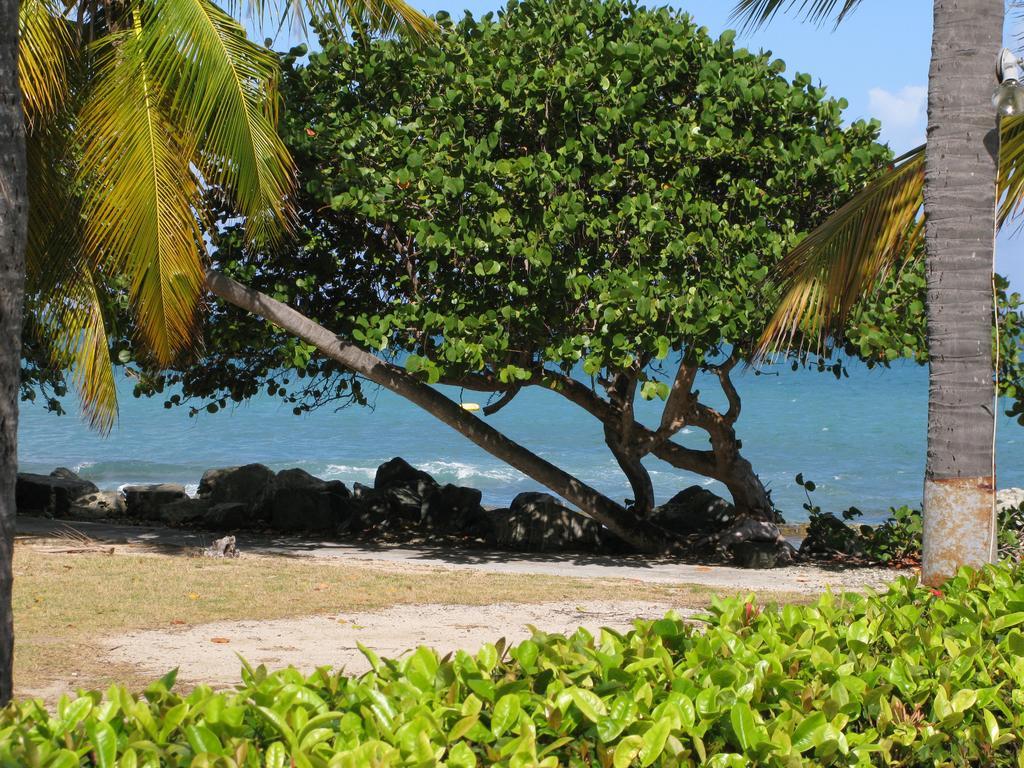 Tamarind Reef Resort Spa & Marina Christiansted Extérieur photo