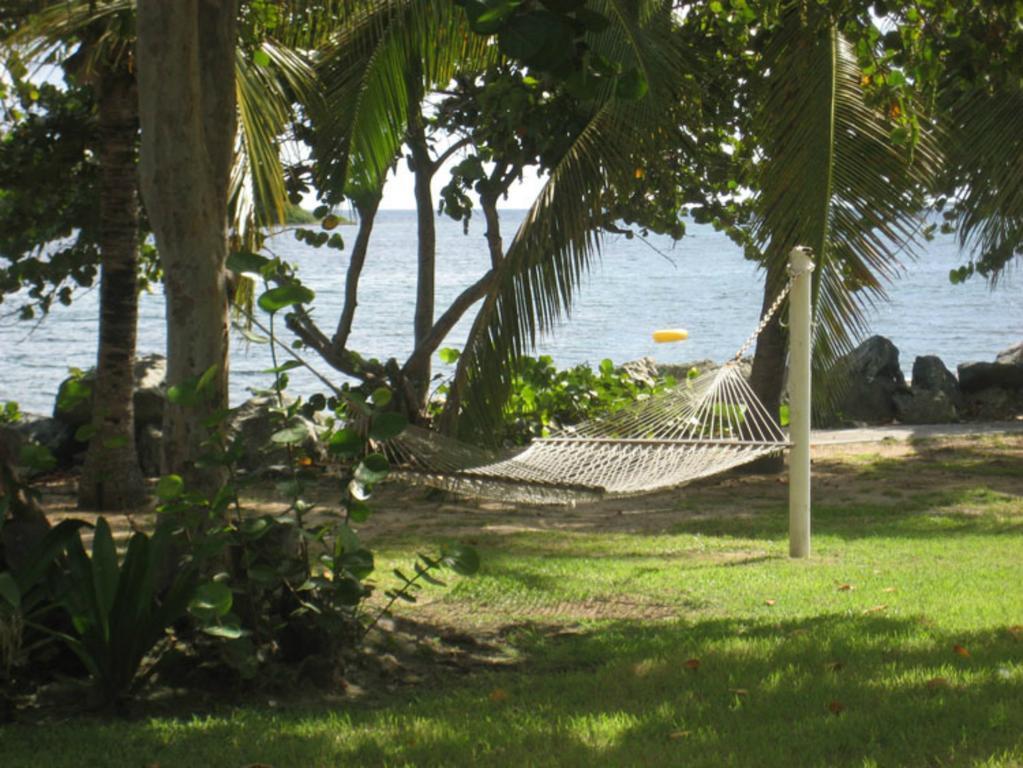 Tamarind Reef Resort Spa & Marina Christiansted Extérieur photo