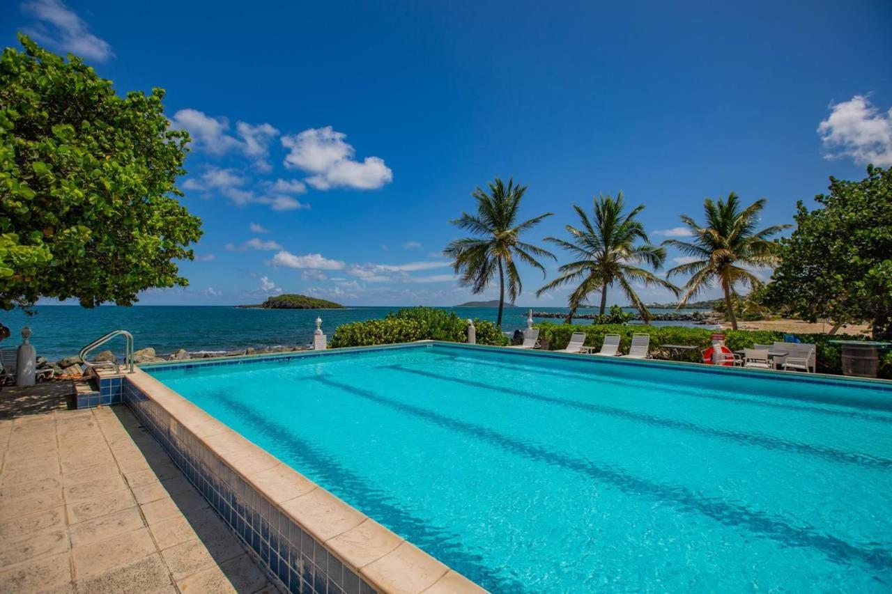 Tamarind Reef Resort Spa & Marina Christiansted Extérieur photo